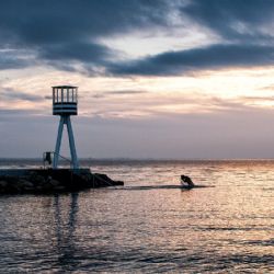 1. plads - Digital 2<br><br>