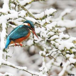 Januar 2020 - Tema: December<br>Fotograf: René Fokdahl