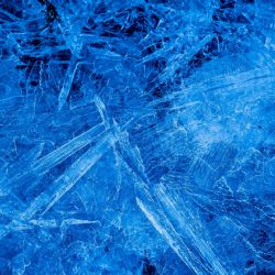 Februar 2020 - Tema: Is / kulde<br>Fotograf: Astrid Tyge Nielsen<br><br>