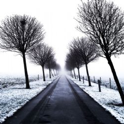 Februar 2022 - Tema: Vinter grå<br>Fotograf: Torben Stender Nielsen