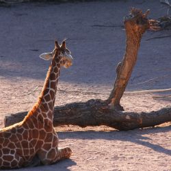 Marts 2022 - Tema: Gentagelse<br>Fotograf: Søren Jensen<br><br>