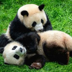 Marts 2024 - Tema: Bedste venner<br>Fotograf: Jesper Skovbølle<br><br>