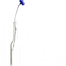 Marts 2025 - Tema: Blå<br>Fotograf: Astrid Tyge Nielsen<br><br>