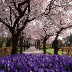 April 2016 - Tema: Forår<br>Fotograf: Erik Pedersen<br><br>