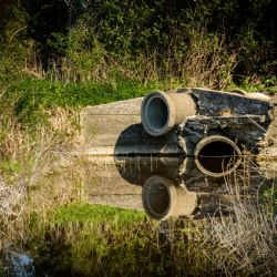 Juni 2016 - Tema: Reflektion<br>Fotograf: Jan Pedersen<br><br>