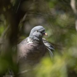 Juni 2023 - Tema: Bokeh<br>Fotograf: Anna Lange<br><br>