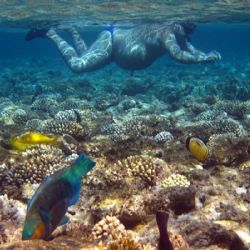 Juli 2019 - Tema: Sommersjov<br>Fotograf: Janek Mastek<br><br>