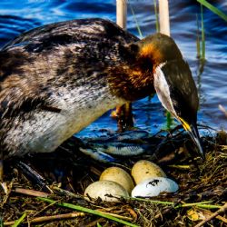 Juli 2021 - Tema: Begyndelse<br>Fotograf: Ivan Lundhus Olsen<br><br>