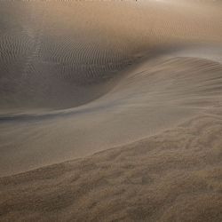 Juli 2022 - Tema: Former i naturen<br>Fotograf: Astrid Tyge Nielsen<br><br>