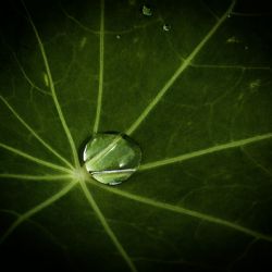 Juii 2025 - Tema: Dråber<br>Fotograf: Ivan Olsen<br><br>