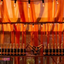 Juli 2026 - Tema: Orange<br>Fotograf: Hans H. Stilling<br><br>