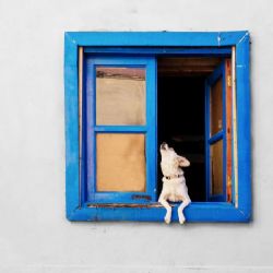 August 2020 - Tema: Forladt<br>Fotograf: Walther Risom<br><br>