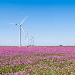 August 2023 - Tema: Sommerferie<br>Fotograf: Kurt Pedersen<br><br>