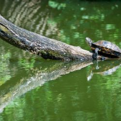 August 2024 - Tema: Vand i byen<br>Fotograf: Jesper Skovbølle<br><br>