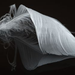 September 2017 - Tema: Flydende<br>Fotograf: Astrid Tyge Nielsen<br><br>