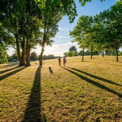 September 2019 - Tema: Modlys<br>Fotograf: Kurt Pedersen<br><br>