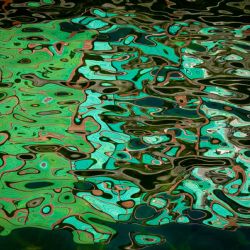 September 2020 - Tema: Abstrakt<br>Fotograf: Astrid Tyge Nielsen