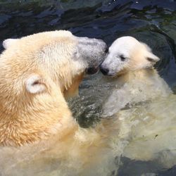 September 2021 - Tema: Det gode liv<br>Fotograf: Søren Jensen<br><br>