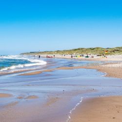 September 2024 - Tema: Sommeren 2024<br>Fotograf: Kurt Pedersen<br><br>