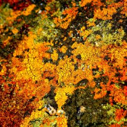 November 2024 - Tema: Abstrakt<br>Fotograf: Martin Larsen<br><br>