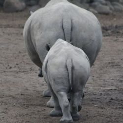 April 2022 - Tema: Former<br>Fotograf: Søren Jensen<br><br>