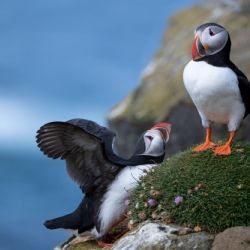 1. plads - Digital 2<br>Fotograf: Erik B. Andersen<br><br>