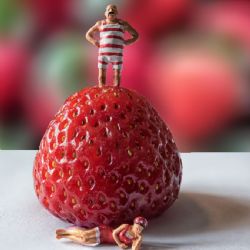 August 2017 - Tema: Sommer<br>Fotograf: Anna Lange<br><br>