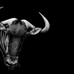 1. plads - Papir 2<br><br>