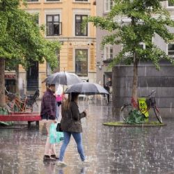 2. plads - Papir 1<br><br>