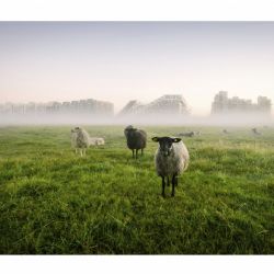 2. plads - Papir 2<br><br>