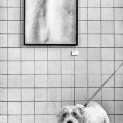 3. plads - Papir 2<br><br>