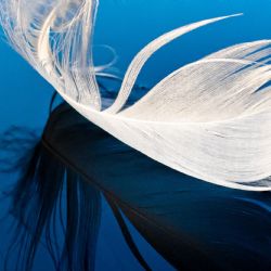 1. plads - Digital 3<br><br>