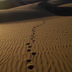 1. plads - Papir 1<br><br>