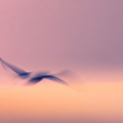 1. plads - Digital 1<br><br>