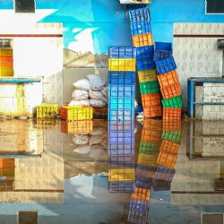 2. plads - Digital 1<br><br>