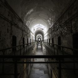 1. plads - Digital 1<br><br>