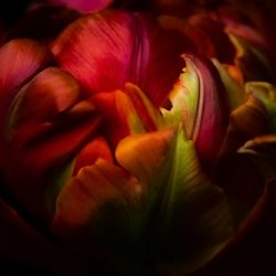 2. plads - Digital 2