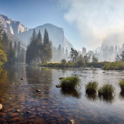 1. plads - Digital 1<br><br>