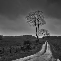 2. plads - Digital 1<br><br>