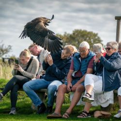 2. plads - Digital 1<br>Fotograf: Jesper Skovbølle<br><br>