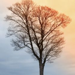 2. plads - Papir 1<br><br>