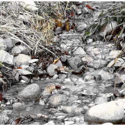 3. plads - Papir 1<br><br>