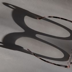 1. plads - Digital 1<br><br>