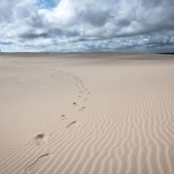 2. plads - Papir 1<br><br>