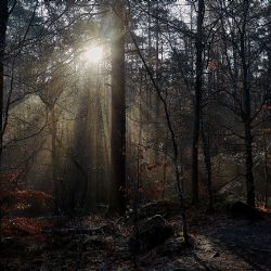 1. plads - Digital 1<br><br>