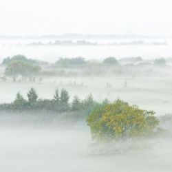 2. plads - Digital 2<br>Bo Seiffert<br><br>