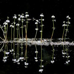 1. plads - Digital 2<br><br>