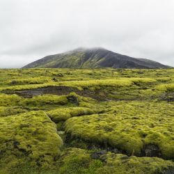 2. plads - Digital 2<br><br>