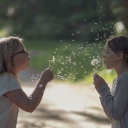 3. plads - Digital 2<br><br>