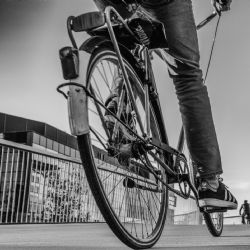 1. plads - Digital 2<br><br>